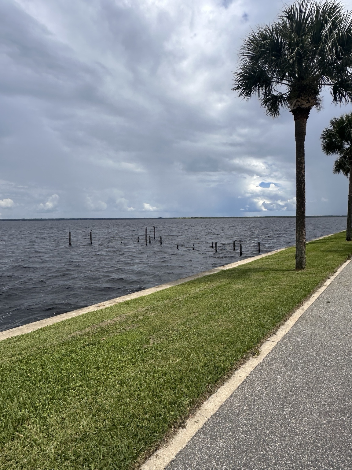 Florida waterfront under dramatic clouds